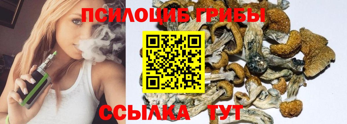 Галлюциногенные грибы MAGIC MUSHROOMS  Галлюциногенные грибы ЛСД  Новошахтинск  Вход с VPN 